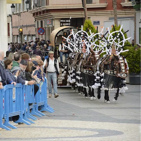 Romería de la Virgen de las Viñas en Tomelloso, Ciudad Real