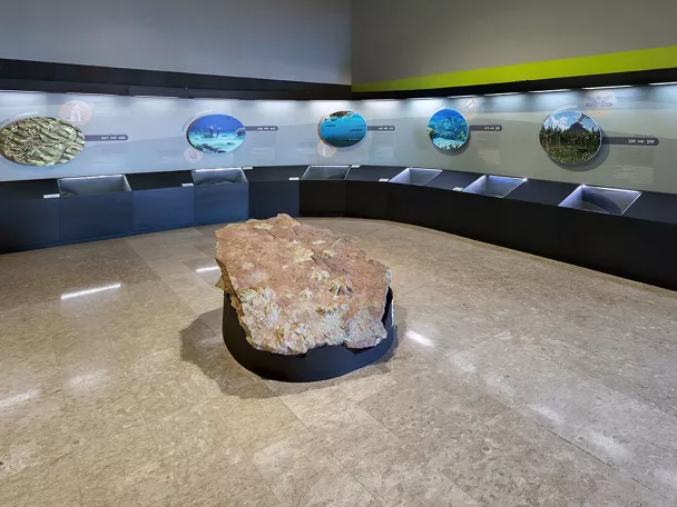 Exposición en el Museo Paleontológico de Cuenca