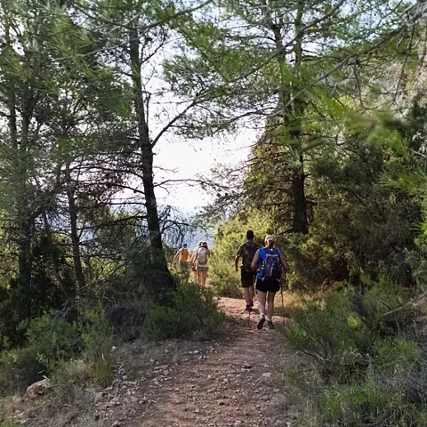 Senderiso en la ruta de las Pozas de Socovos