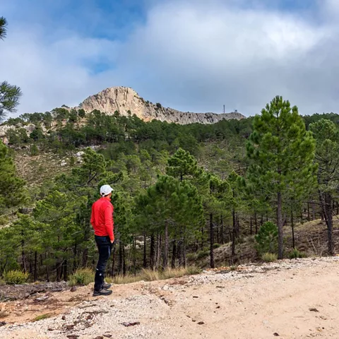 Subida al Pico Padrastro desde Bogarra