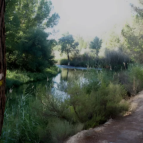 Ruta de senderismo del Tollo de las Tortugas PR-AB41 en Villamalea