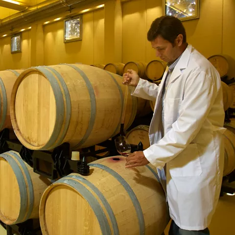 Controles en las barricas del Vino de Pago Vallegarcía