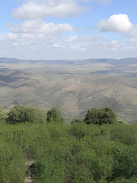 Zona de Protección de Aves Sierra Morena