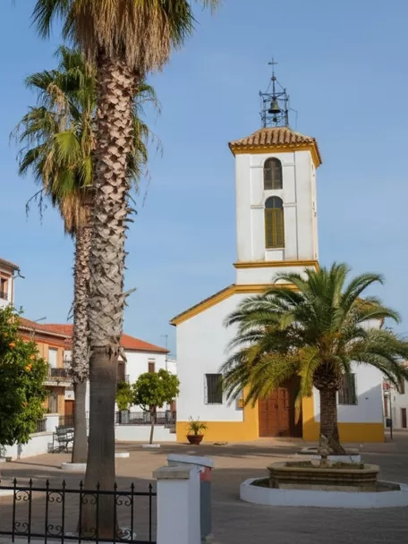 Plaza con iglesia, palmeras y naranjos