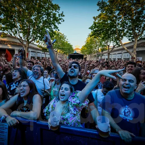 Público entusiasmado en primera fila levantando las manos durante un concierto al aire libre.