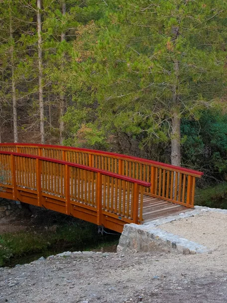 Puente de madera sobre un arroyo en un entorno forestal.