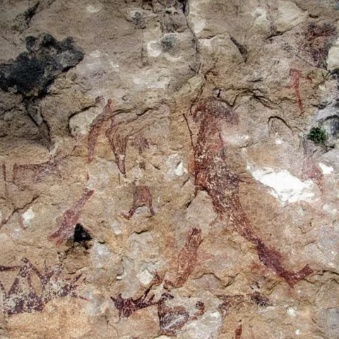 Figuras rupestres de animales y trazos rojos en pared rocosa.