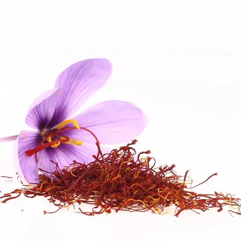 Flor de azafrán con hebras recolectadas