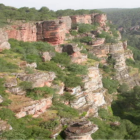 Barranco rocoso con paredes estratificadas y vegetación