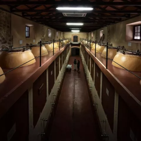 Sala de barricas en bodega tradicional de vino