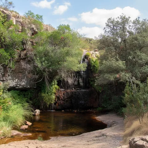 Poza natural entre rocas y vegetación con pequeña cascada.