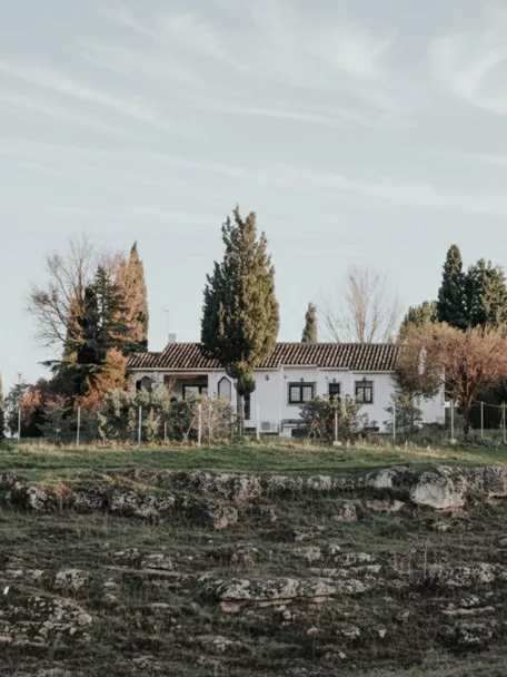 Conjunto de casas rurales junto a zona verde