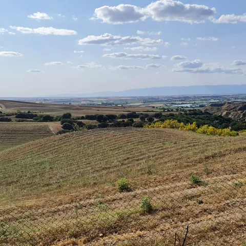 Panorámica de campos y colinas