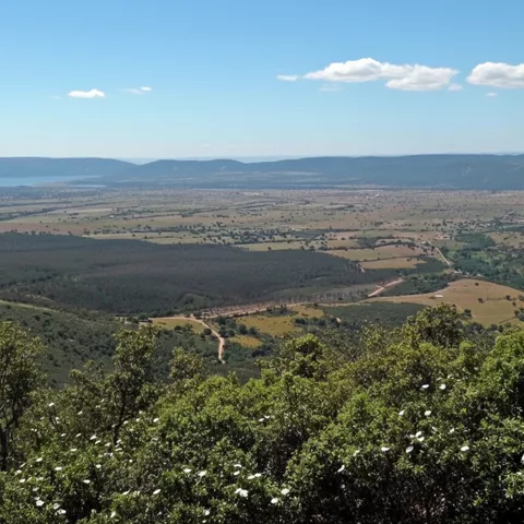Panorámica de dehesa y sierras al fondo