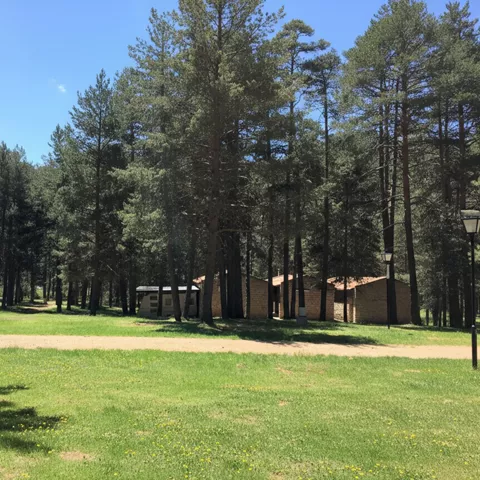 Área de servicios y parcelas en pinar.