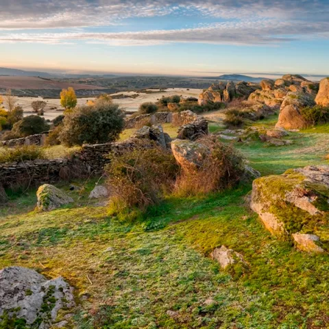 Paisaje de campo con rocas y vegetación dispersa