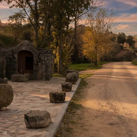 Camino rural con construcción tradicional y árboles
