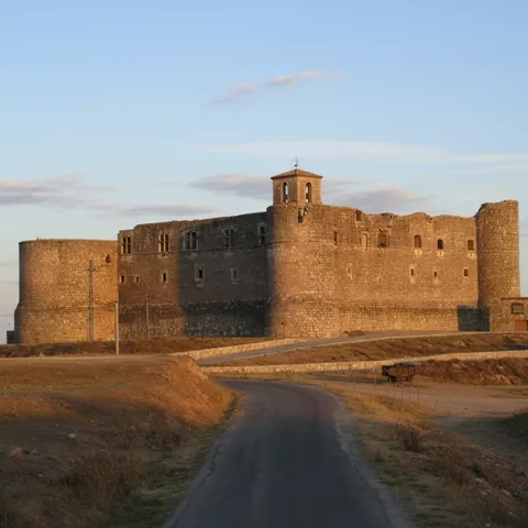 Castillo sobre colina con bosque en primer plano
