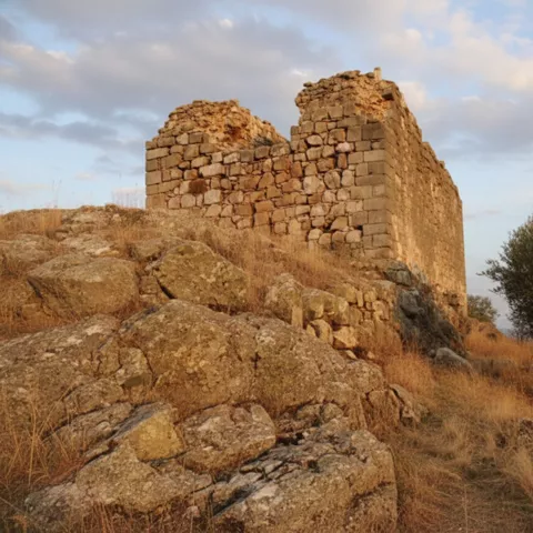 Muro antiguo de piedra sobre terreno seco.