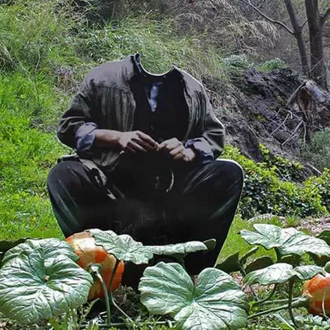 Figura sin cabeza sentada en un huerto entre calabazas y vegetación.