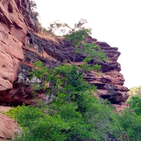 Paredes rocosas del barranco.