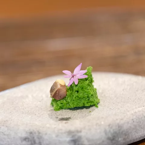 Bocado verde con flor sobre piedra