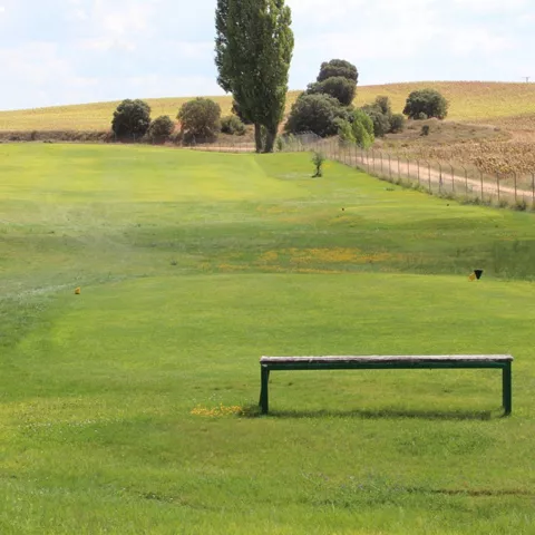 Green rodeado de arbolado y pradera