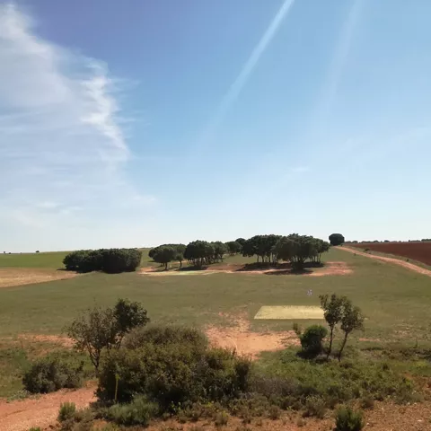 Panorámica de colinas y praderas