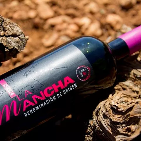 Botella de vino sobre troncos de vid en el viñedo