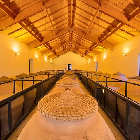 Sala de tinajas tradicionales con techumbre de madera