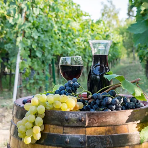 Uvas y vino sobre barrica