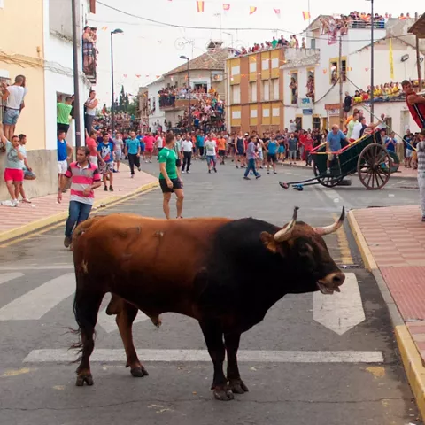 Toro suelto en la calle rodeado de corredores y vecinos