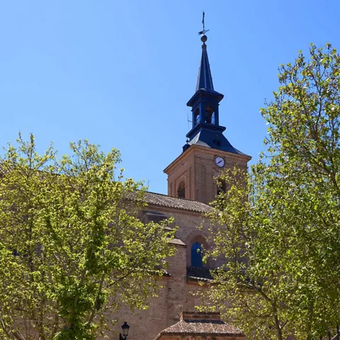 Torre de iglesia entre árboles bajo cielo azul