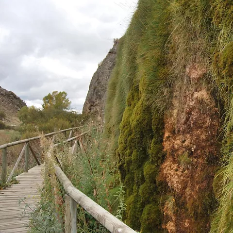 Toba y pasarela en Checa, ruta natural.