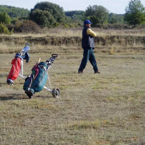 Carritos de golf sobre terreno abierto