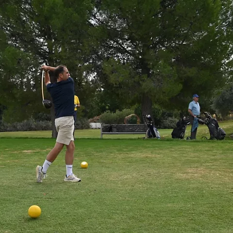 Salida de tee entre árboles