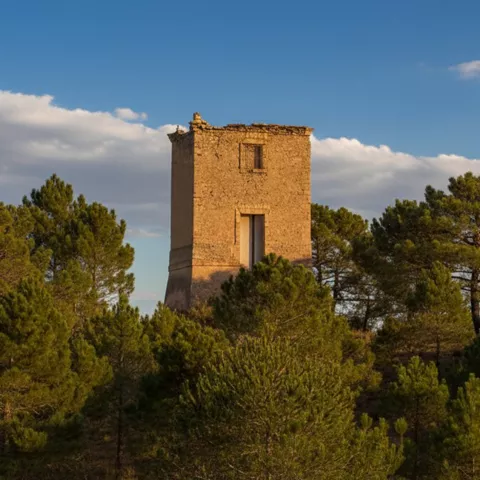 Torre defensiva entre pinos al atardecer