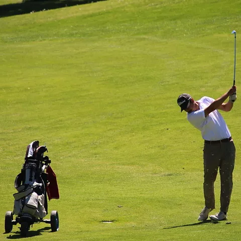 Bandera de golf en pradera rodeada de pinos