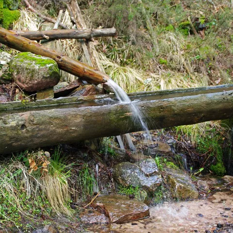 Manantial natural con agua fluyendo entre troncos y piedras