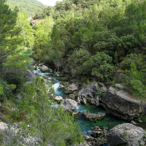 Río de montaña entre grandes rocas.