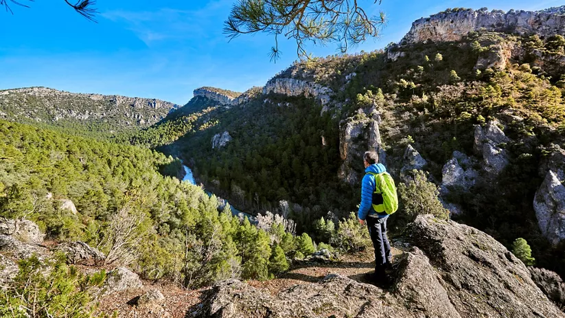 Persona observando un valle profundo con bosque y río al fondo.