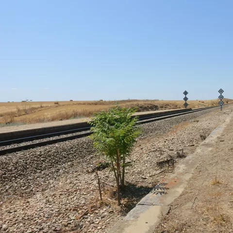 Vía de tren entre campos secos y cielo despejado