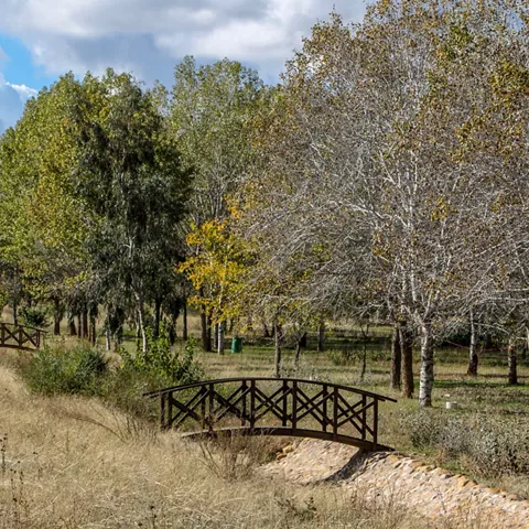 Sendero natural con pequeños puentes de madera entre árboles