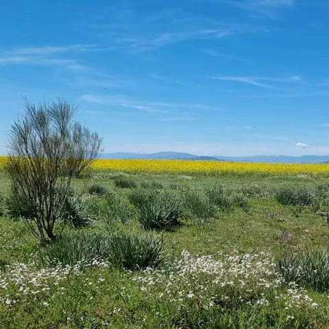 Pradera y laguna en paisaje abierto