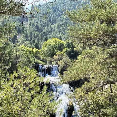 Cascada entre pinares.