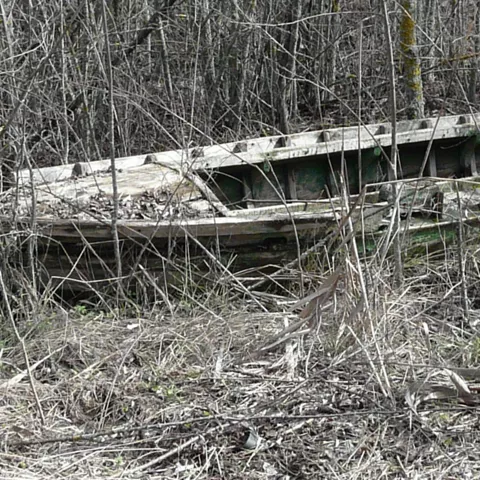Embarcación abandonada entre vegetación seca