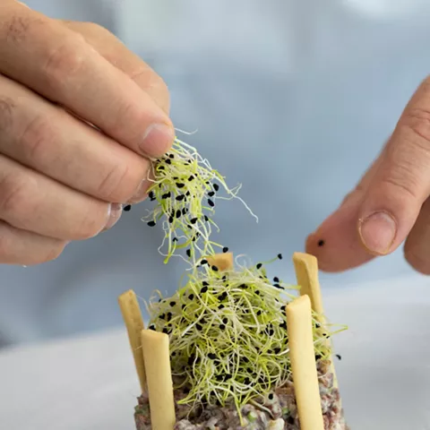 Manos colocando brotes sobre tartar