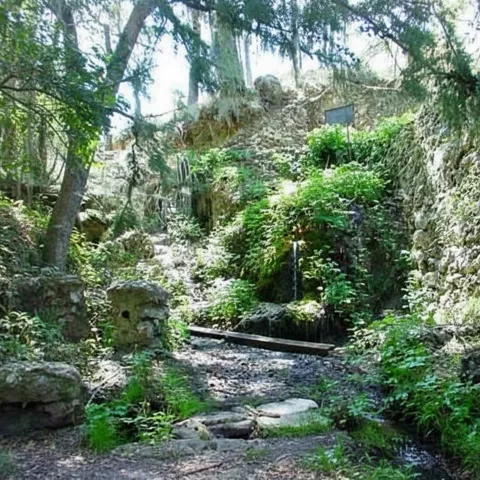 Sendero sombreado entre rocas y vegetación, con agua corriendo entre piedras.