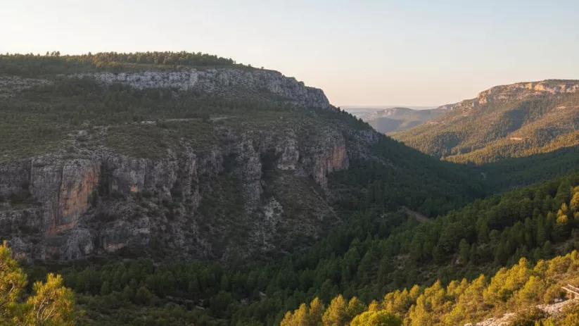 Paisaje de cañón con paredes rocosas y bosque denso bajo luz suave.