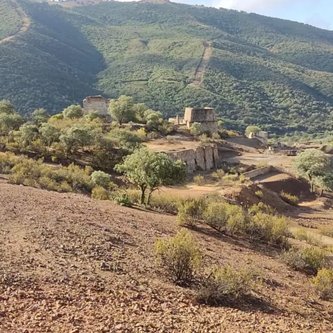 Vista general de restos mineros integrados en el entorno natural